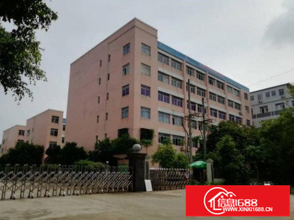 横沥田饶步村一楼标准1000平方厂房适合多种行业