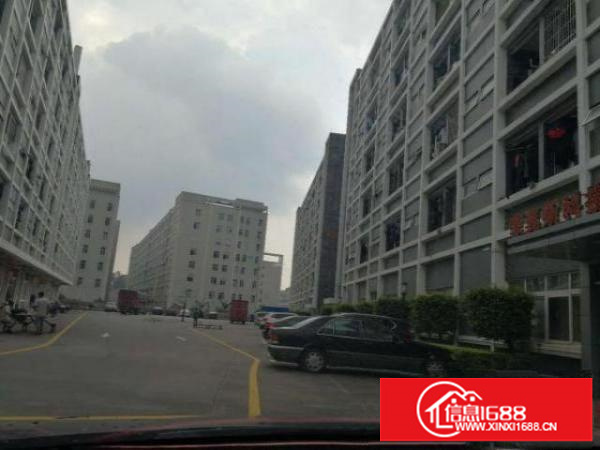 福龙路出口新出200平300平5000平厂房仓库招租