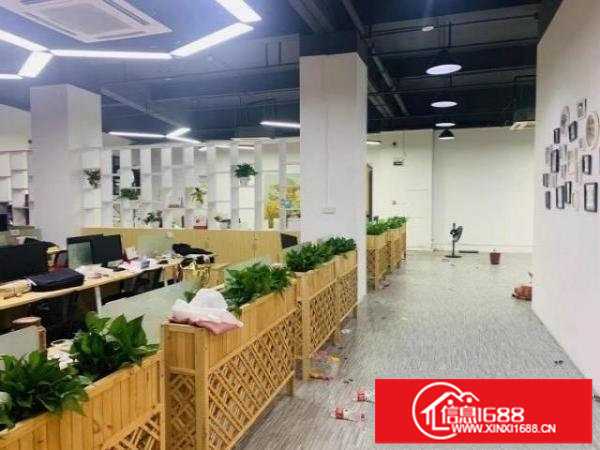 龙华大浪商业中心附近新出精装修厂房620平，原房东直租