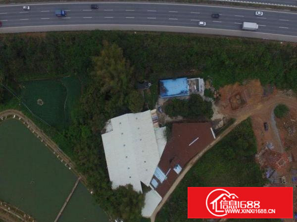 厂房和厂房后绿地养鸡养鸭