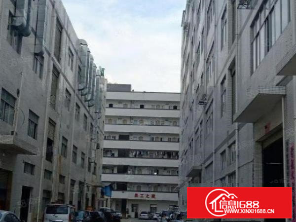 凤岗镇竹塘村新厂房空出五楼700平米带简单装修办公室业主直租