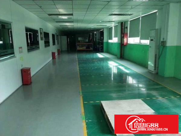 东坑镇原房东分租楼上1200平方