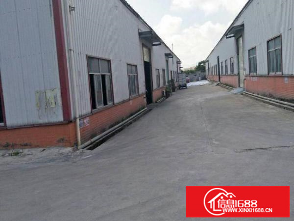 惠阳新圩1100平钢构高8米带喷淋空地大