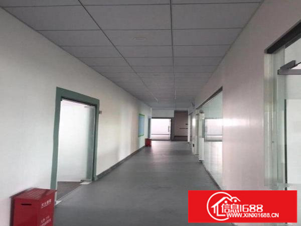 高实用率原业主独门独院办公厂房仓库100平至2000平