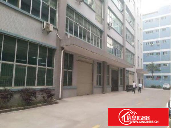 常平九江水带豪华装修办公室厂房1750平米