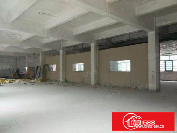 寮步镇石龙坑新出独门独院单层厂房1600平米，经典小独院