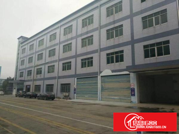 碧岭9成新独院厂房2、3楼各2500平米出租分租