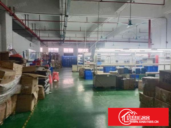 虎门龙眼新空楼上900平精装修厂房招租