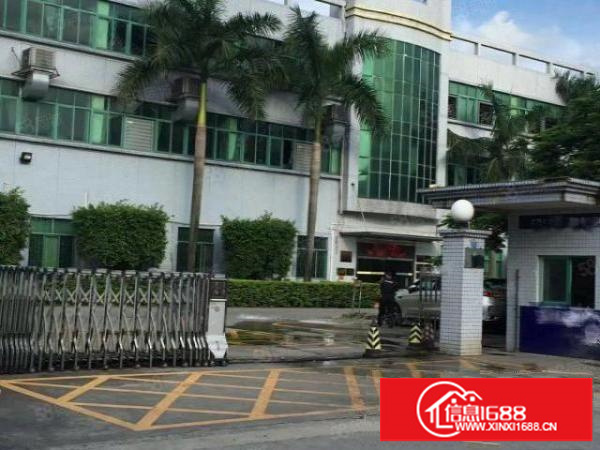 龙岗一楼厂房出租1860平新生仓库出租大马路边（可分租）