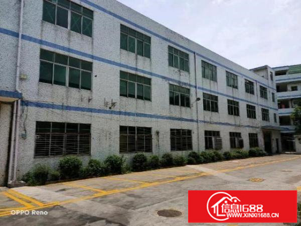 坪山石井独院二楼厂房整层1570平方出租