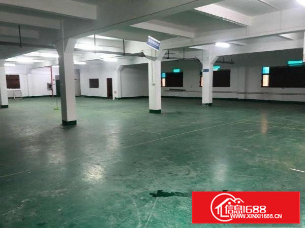 近塘厦镇中心公园独院厂房