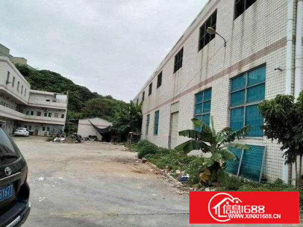 平湖机荷高速附近有新出物流仓库1000平米招租