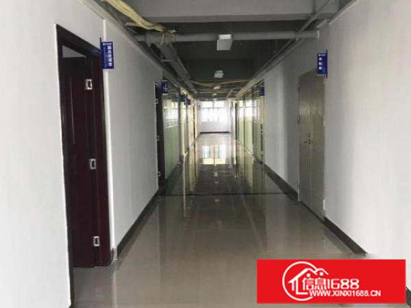 出租松岗带装修花园式厂房