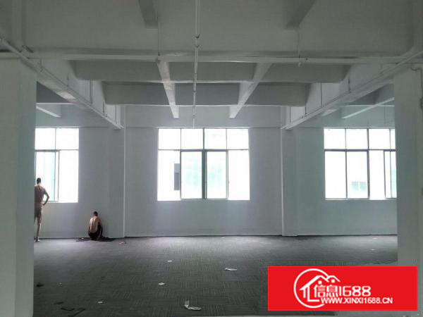 布龙路格泰隆工业区B栋C栋厂房写字楼出租，可分租140平