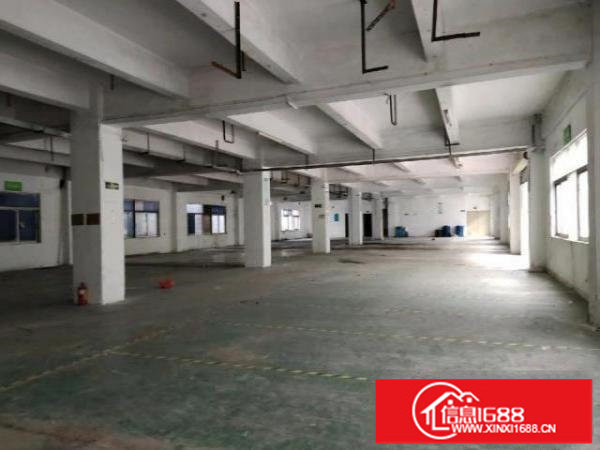 公明楼村独门独院厂房3300平