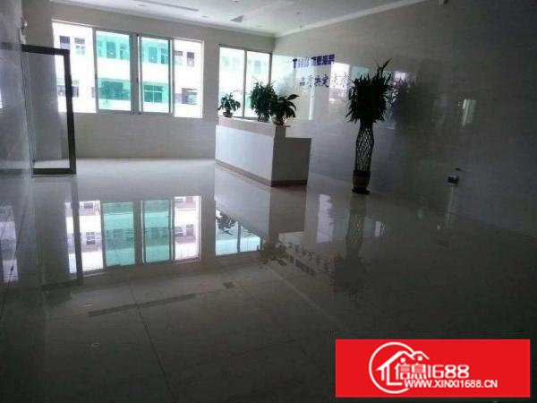 出租龙岗区平湖550平方一楼标准厂房