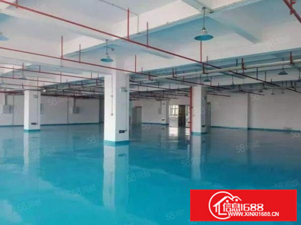 大岭山杨屋精装修电子厂房出租