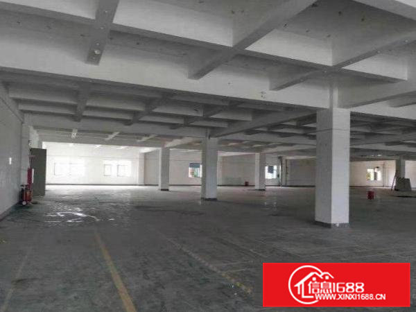 大埔分租四楼标准厂房700~1000平米，配货梯，带红本