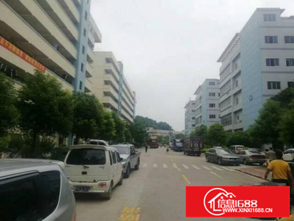 三和1500平花园式厂房出租带现成装修无需转让费