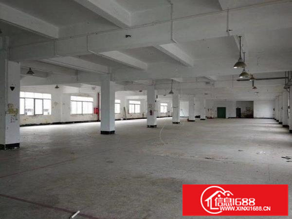 坪山碧岭独院厂房6500平米空地2500平米全出租