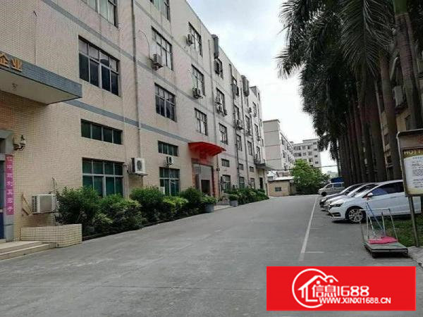 塘厦主干道旁,花园式厂房500平,带精装修,租18