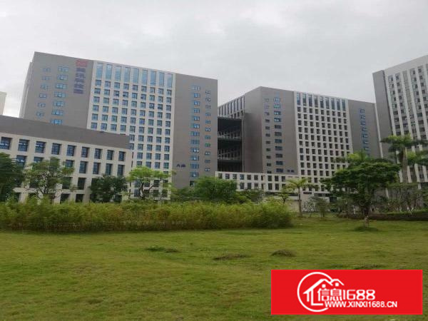 美讯科技园高新厂房业主直租