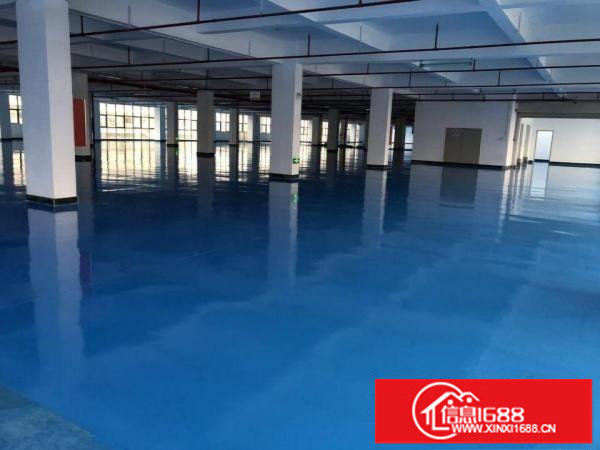 横岗1000128015002200平米精装