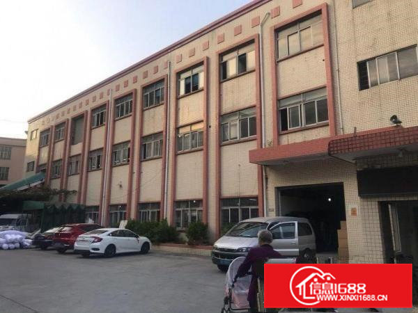 原房东独门独院厂房面积5800