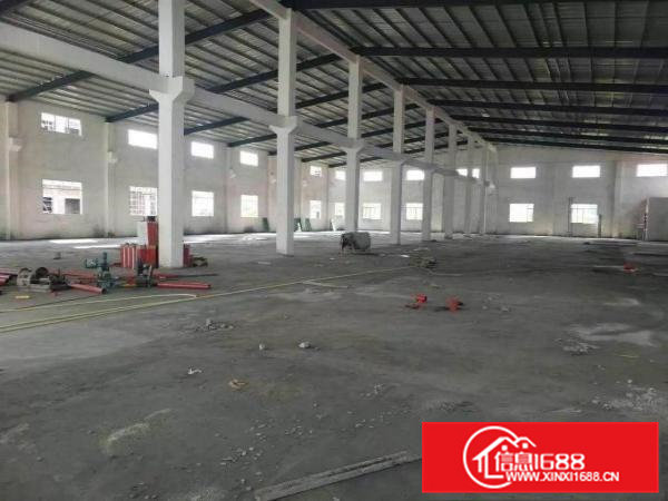 振兴路旁1000独院钢构出租