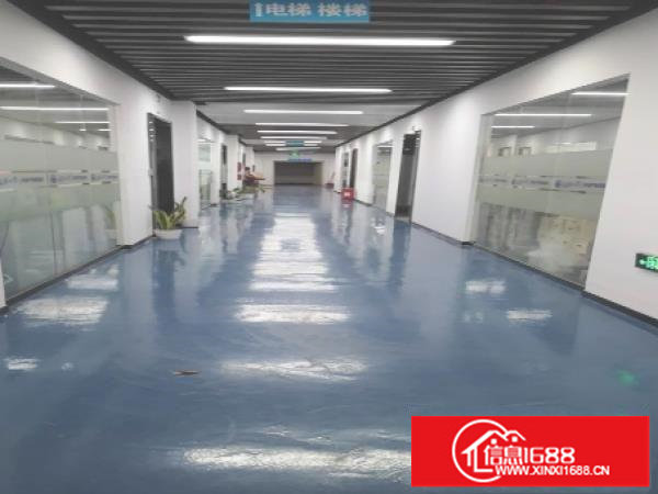 华南城地铁口，新出580平等精装电商贸易办公楼，可办公可仓库