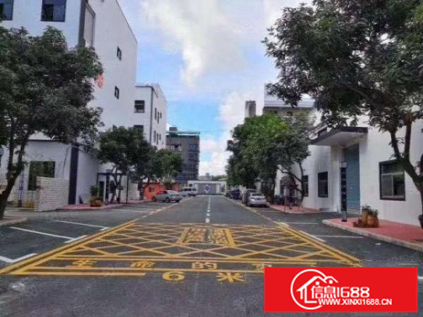 观澜桂花观光路旁新出精装修638平厂房出租无需转让费