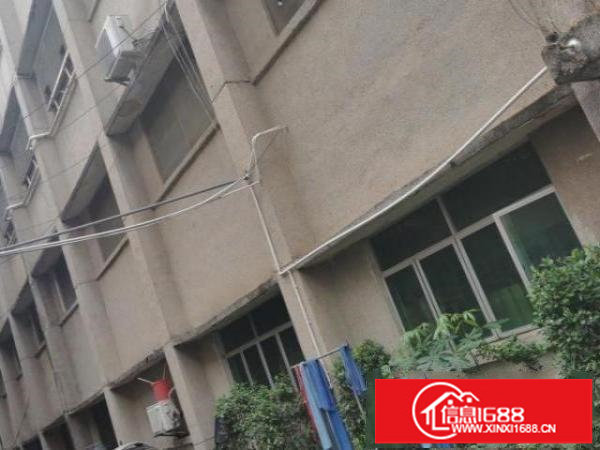 观澜仅存小型独栋式厂房400平每层可分租