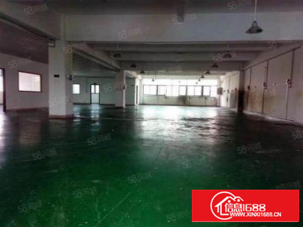 万江新出标准一楼1800平方（可分租900平方）