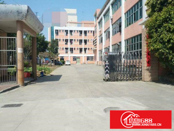 凤岗新出独院4800平方厂房出租(可分租）