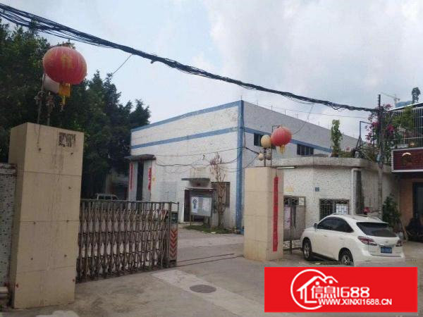 坪山10米高钢结构厂房2400平米超大空地大小分租