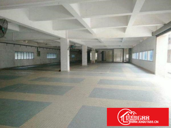 布吉华美工业区1楼600平米，楼高7米