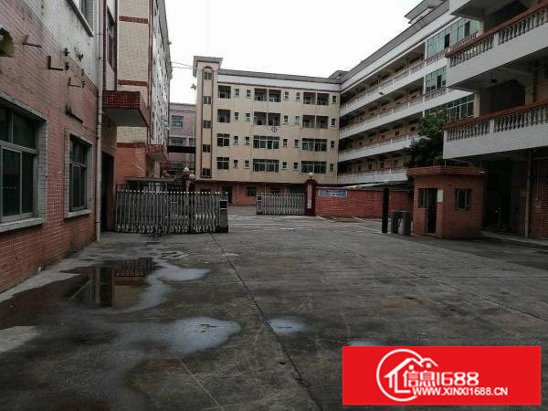 龙岗宝龙工业城有红本独院厂房招租