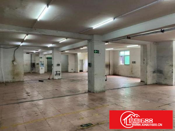 出租龙华观澜一楼700平厂房