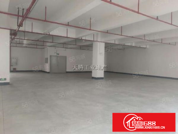 全新厂房面积2600方，中高9米，滴水8米钢结构