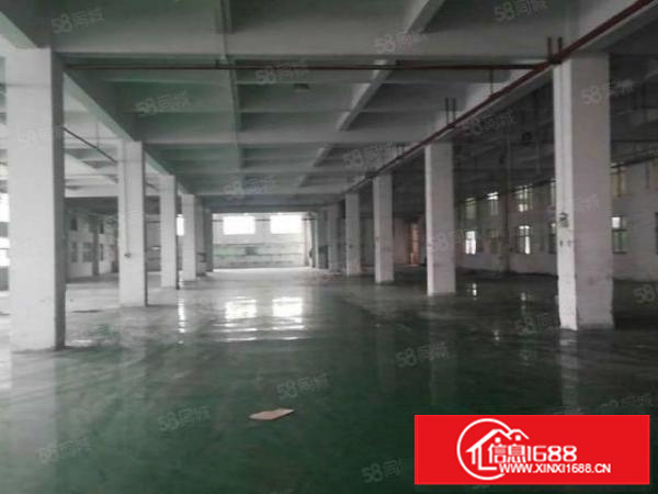 茶山新出全新独门独院原房东厂房交通便利一楼高7米牛角价格实惠