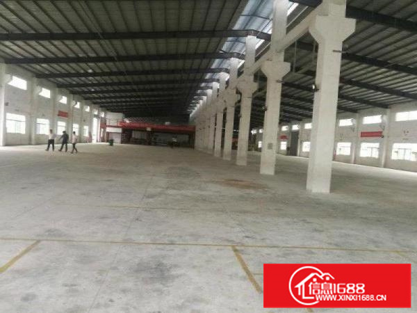 石湾新出原房东单一层独院厂房5000方