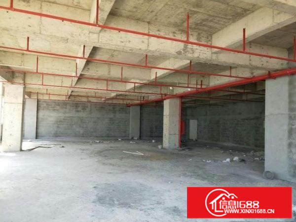常平珠宝产业园A10栋厂房1800平米带地下室停车