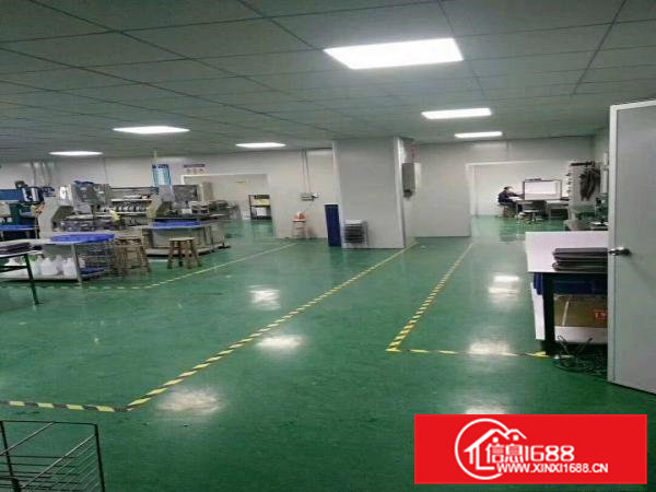 （出租）凤深大道边标准厂房三楼一层共2500平方