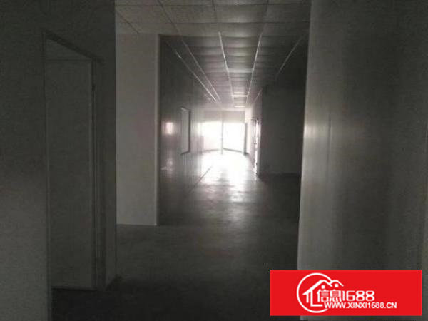 大岭山高新科技园精装修标准厂房可分租1960平米