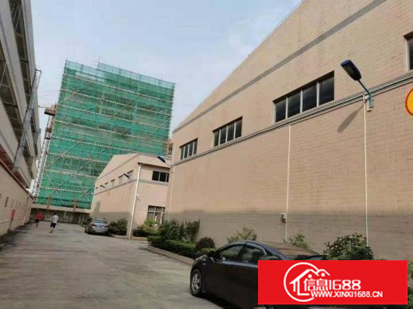 天然气!坑梓高速出口单层钢构5000平空地6000平免费使用