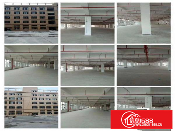 镇隆全新高新科技园招租、证件齐全!