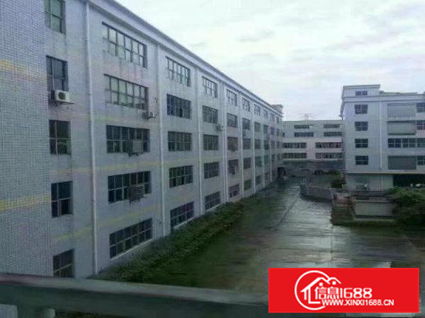 凤岗新出独院五层12000平方厂房招租