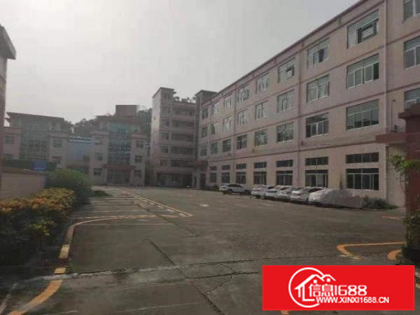 出租龙岗区原房东独院标准工业厂房6670平方（空地大）