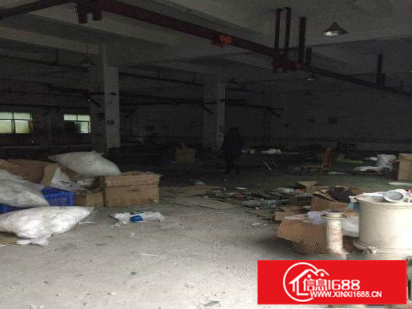 坪山宝山工业区原房东厂房483平带装修急租
