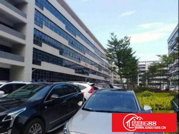 坪山大工业区原房东厂房楼上2600平有红本